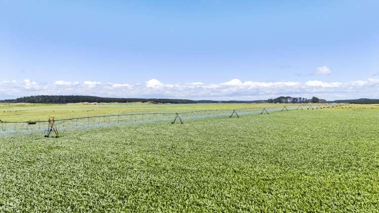 715 Santoft Road Bulls_2