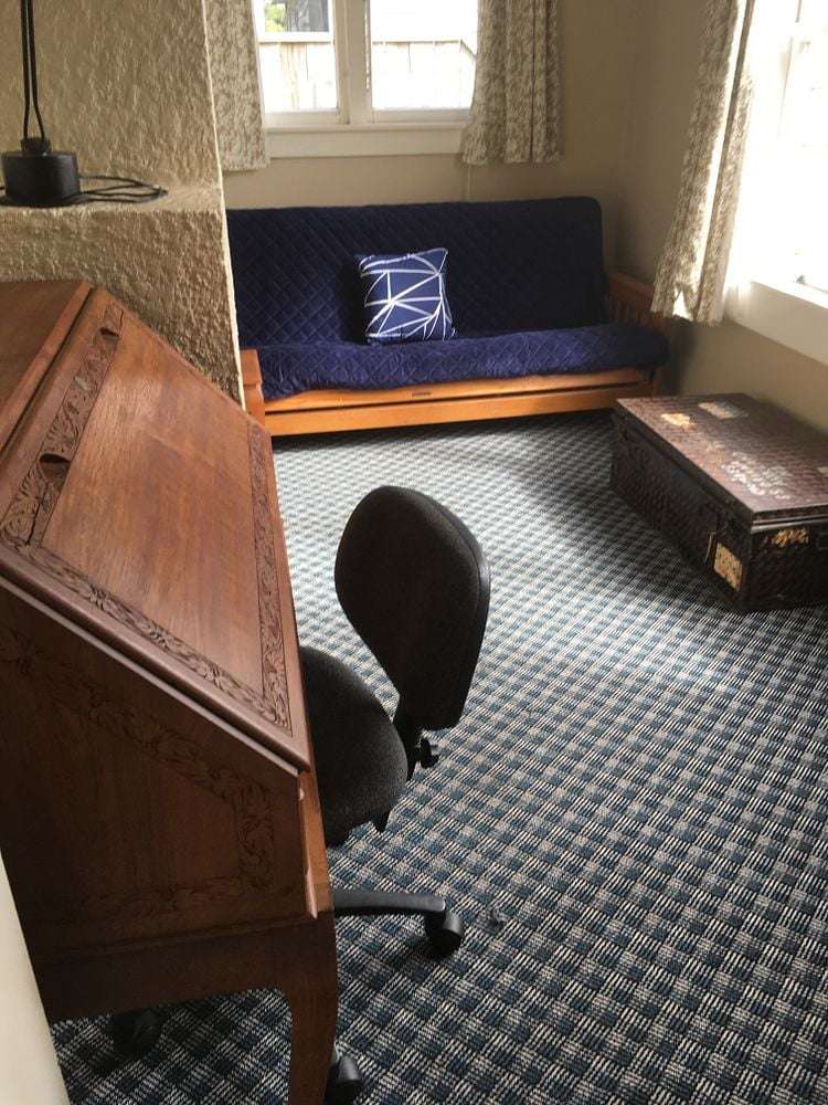 14A Freyberg Street Roslyn_9