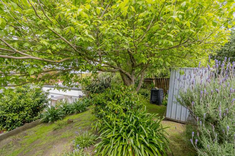 217 Matai Road Raumati Beach_14