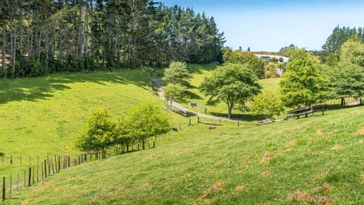 27b Walker Road West Aongatete_19