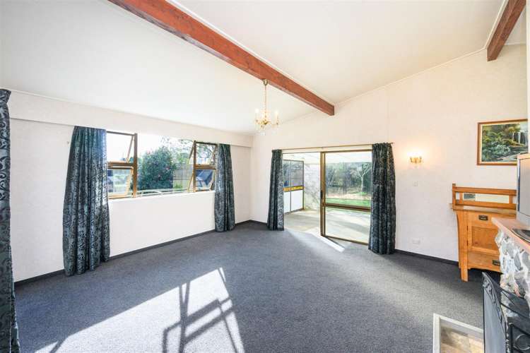 6 Flower Street Bulls_14