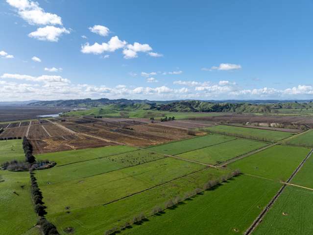 Belcher Road Te Kauwhata_3