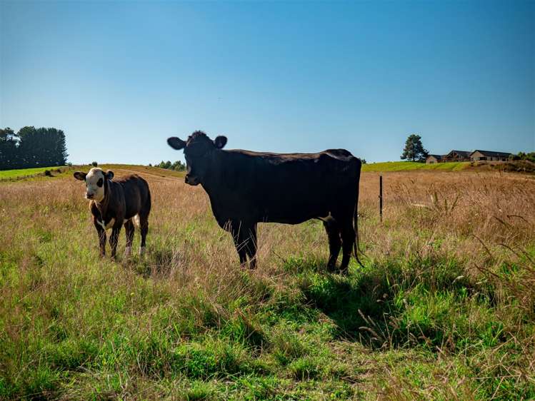 391 Waiwhero Road Ngatimoti_14