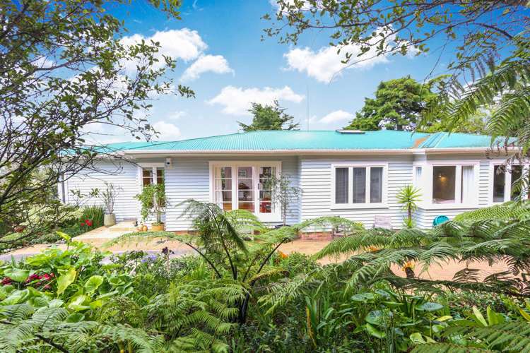 55 Goodall Street Hillsborough_0