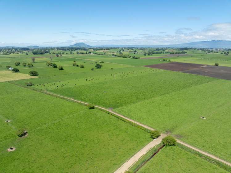 254 Muir Road Te Awamutu_23