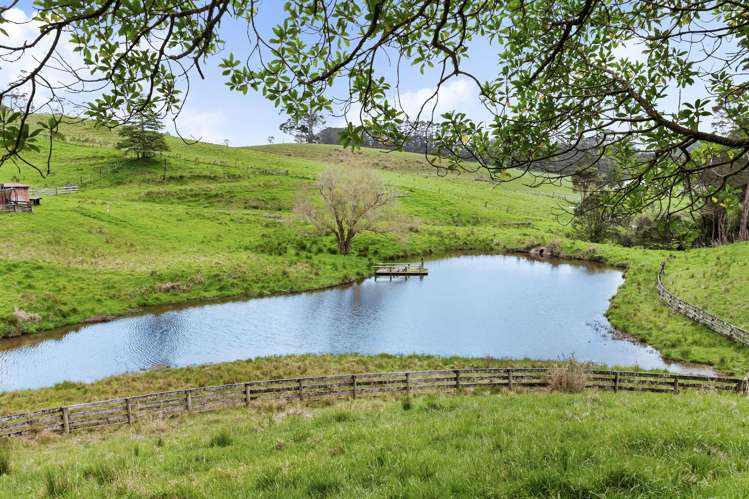 197 Forest Hill Road Waiatarua_31