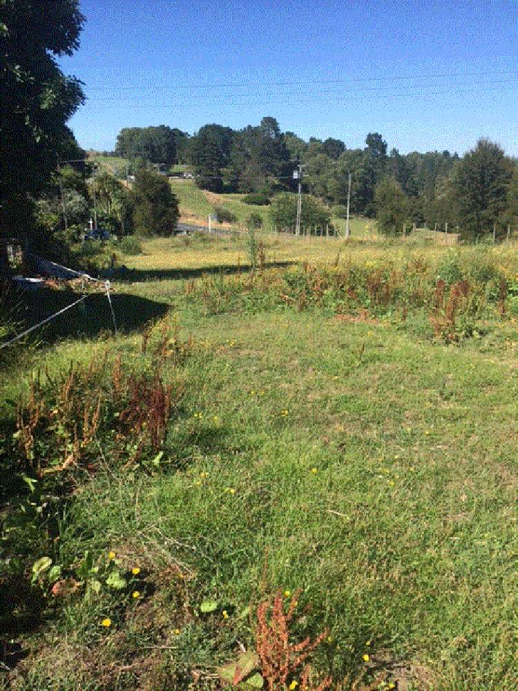 Arapuni Road Arapuni_5