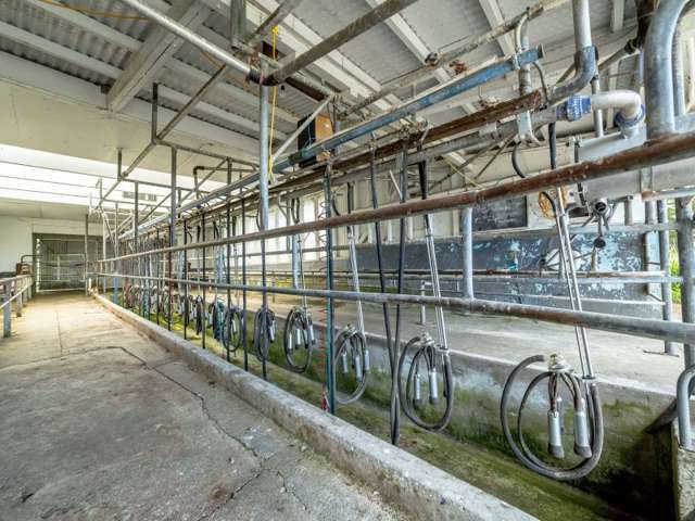 85274 State Highway 2 Eketahuna_4