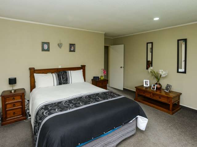 172c Guppy Road Taradale_4