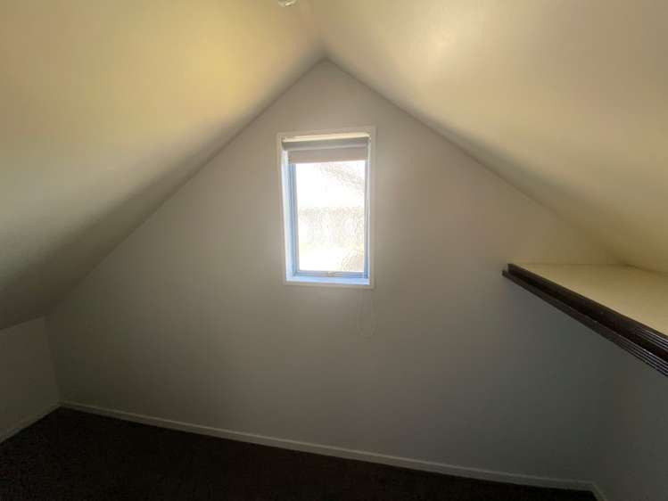24A Terrace Avenue 11229_10
