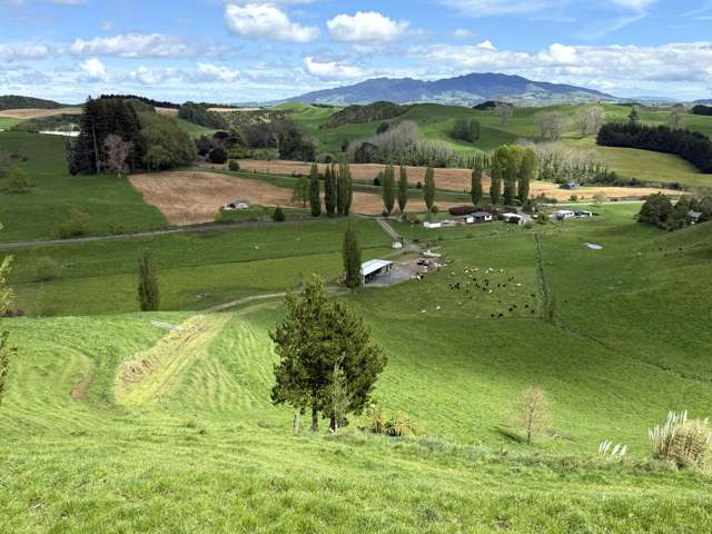 141 Puketirau Road Tirau_3