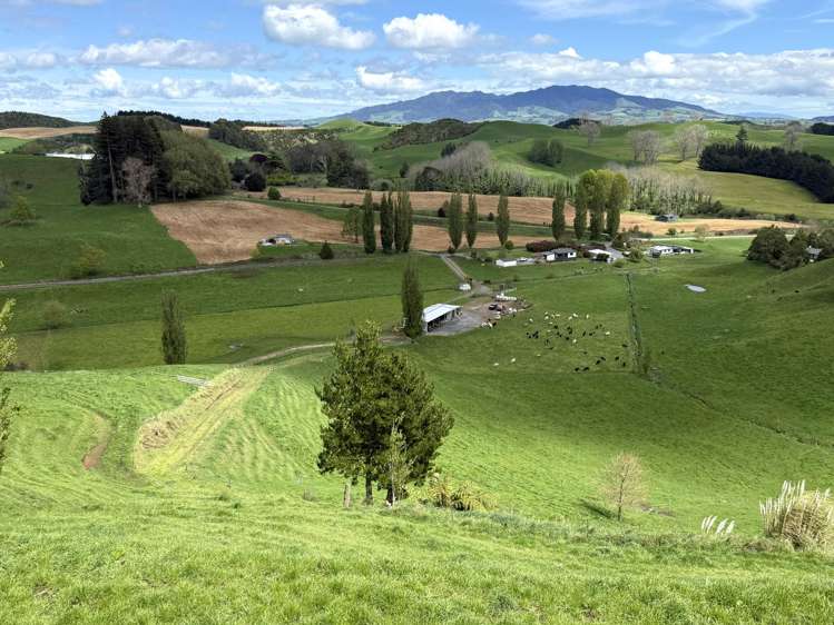 141 Puketirau Road Tirau_3