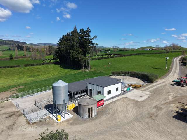 530 Mangatutu Rd RD3 Maihiihi_1