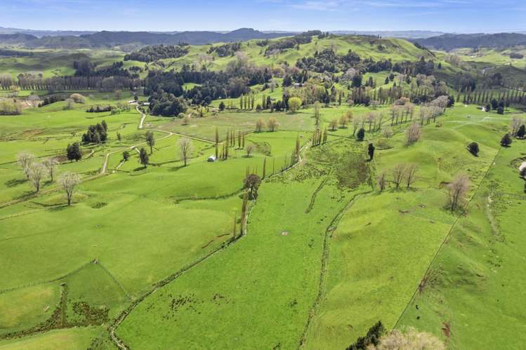 1741 Tikitiki Road Te Kuiti_20