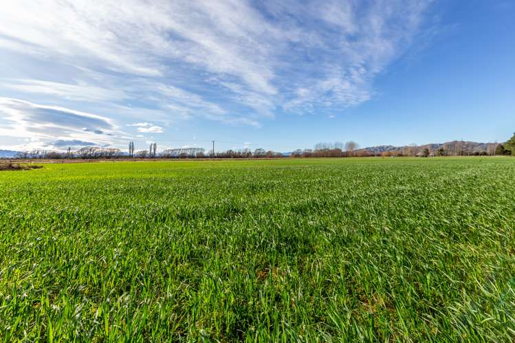 Gilberts Road Waikari_4