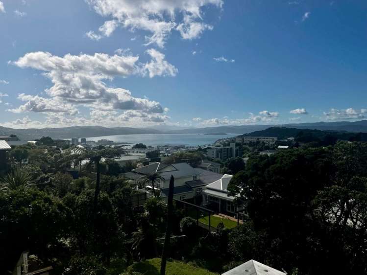 27 Sugarloaf Road Brooklyn_6