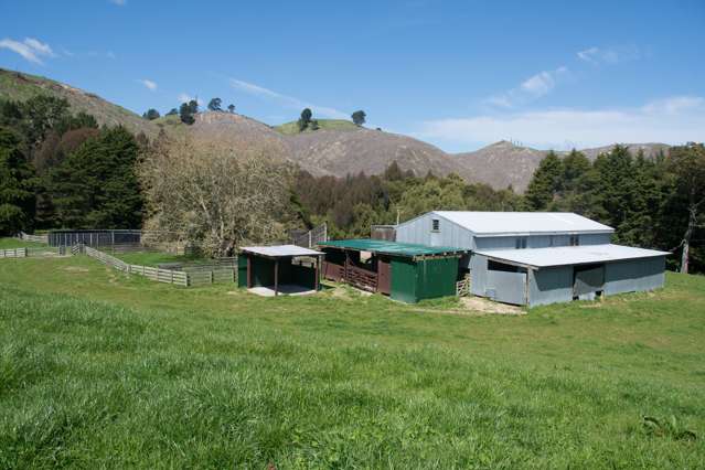 44 Coates Road Waikite Valley_3