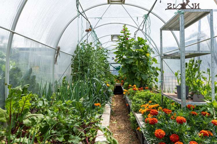 58 Loach Road Hawea Flat_29