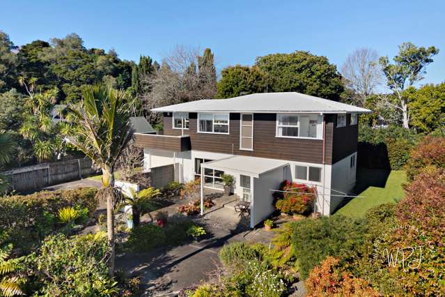 Hill Park Opportunity Space, Sun & Potential !