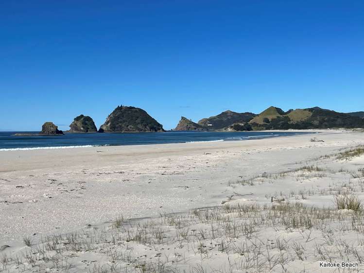 10 Oceanview Road Great Barrier Island_22