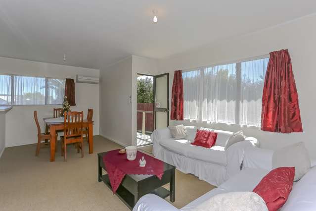 18 Gray Avenue Te Puke_1