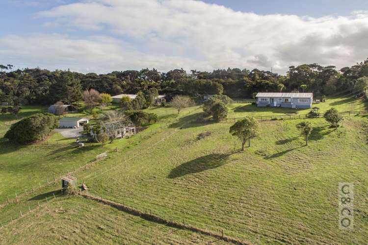 315 School Road Waimauku_23