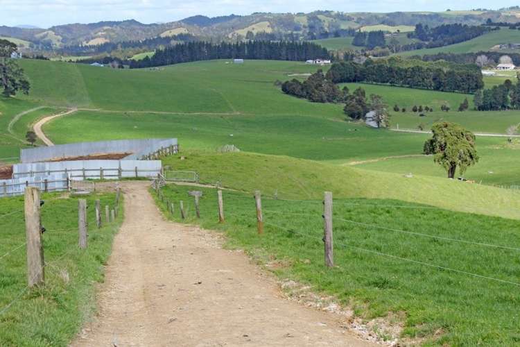 354 Tapuhi Road Hukerenui and Surrounds_7
