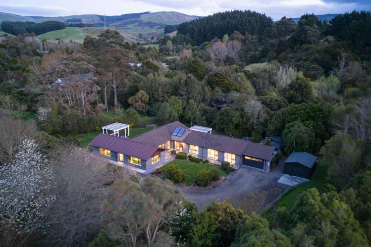 - Moonshine Valley Road_0