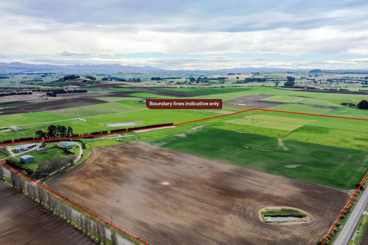 26 Springfield Road Totara_32