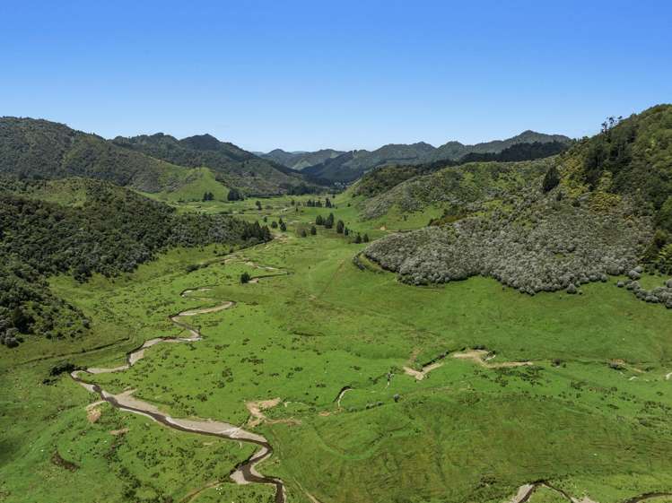 2060 Motu Road Opotiki_33