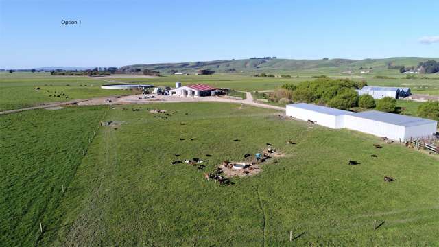 542 Mataura Island Road Mataura Island_1