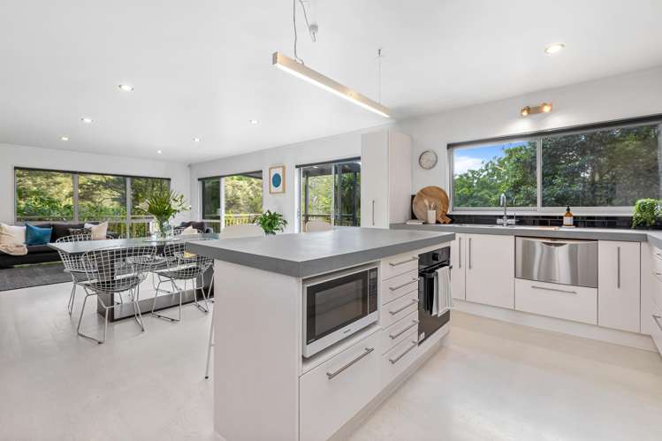 15 Albany Heights Road Dairy Flat_8