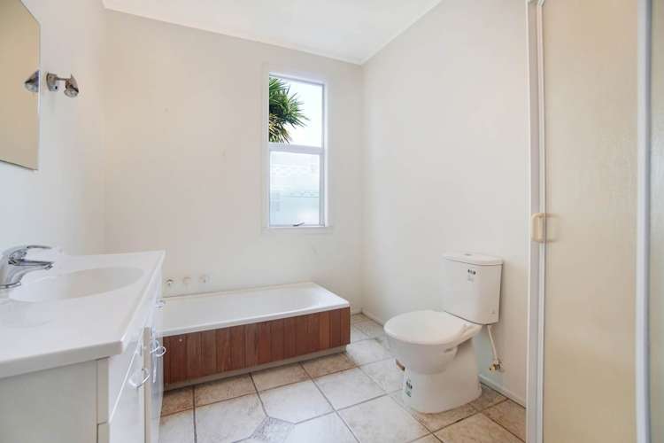 50 Potter Road Dairy Flat_7