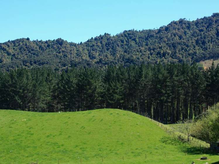 70a Clark Road Ngaruawahia_11