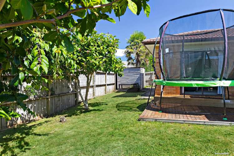 29 Ranchod Terrace Pukekohe_17