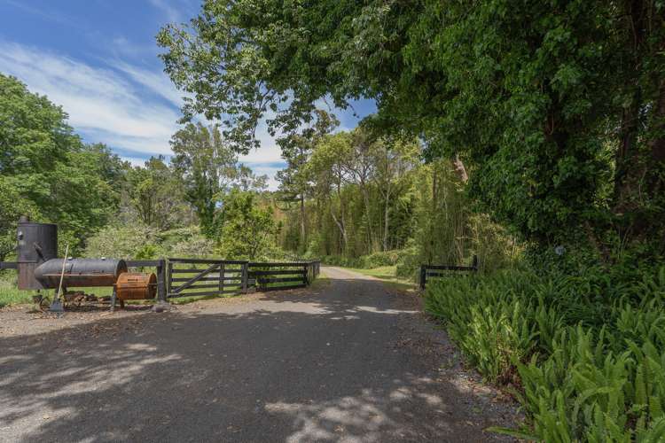 89 Purangi Road Purangi_20