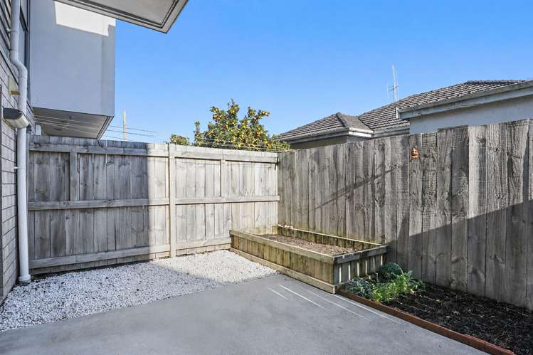 4/188 Massey Street Frankton_17