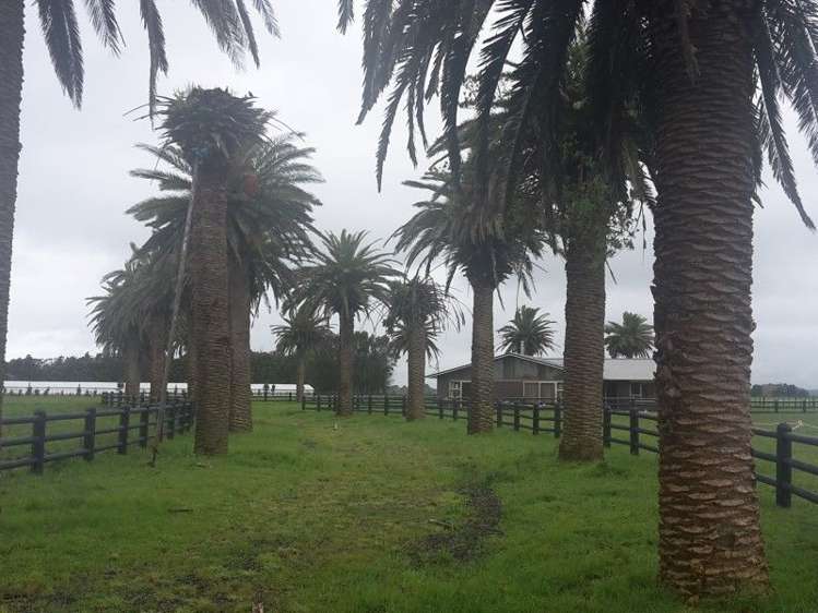 46 Airport Drive New Plymouth Airport_6