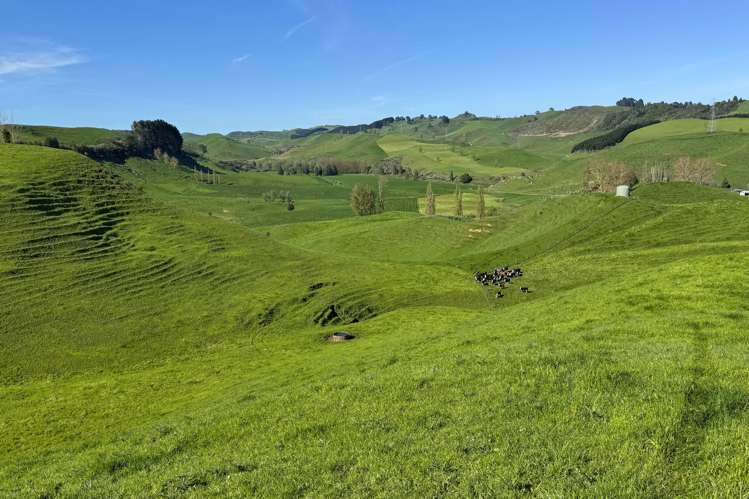 161 Veale Road Otorohanga_25