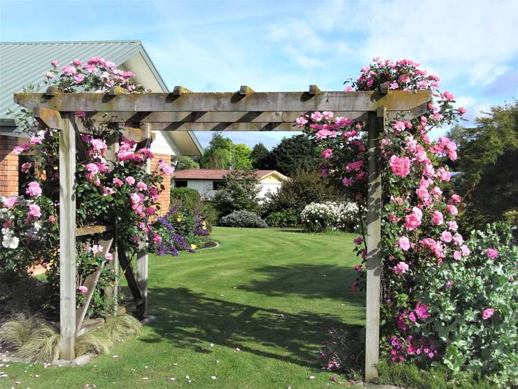 10 Kittow Street Tirau_9