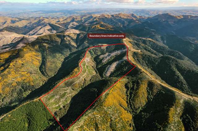 Section 24 Duncan Road Hampden_2