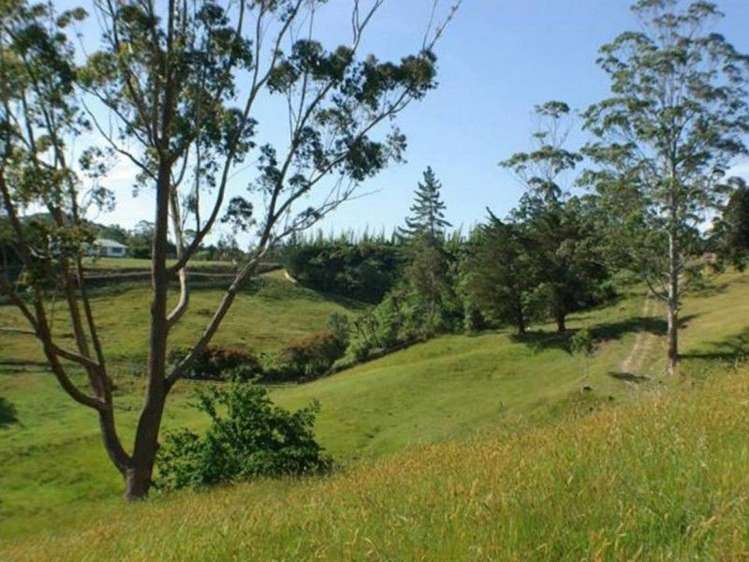 67 Wiroa Road Kerikeri_6