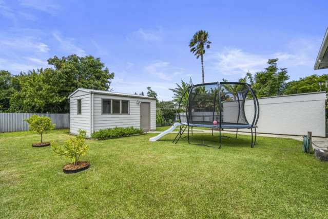 33 Jervois Street Dargaville_3