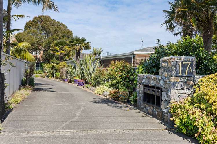 3/17a Fenwick Avenue Milford_10