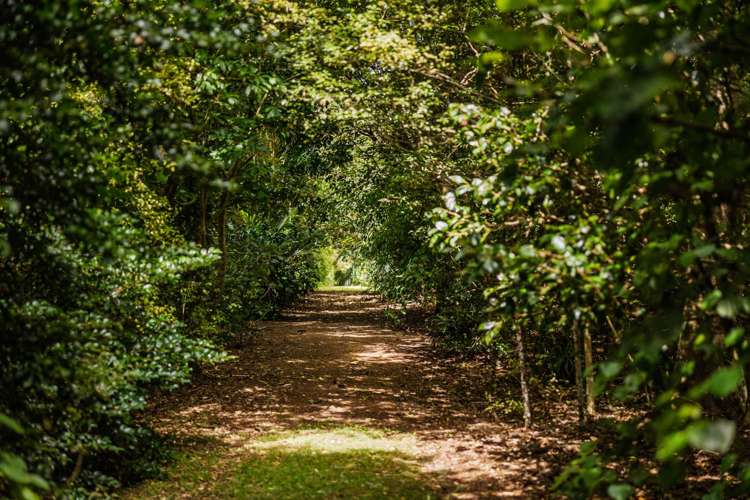 239 Horeke Road Okaihau_22