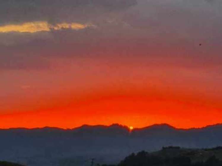 457a Findlay Road Miranda_18