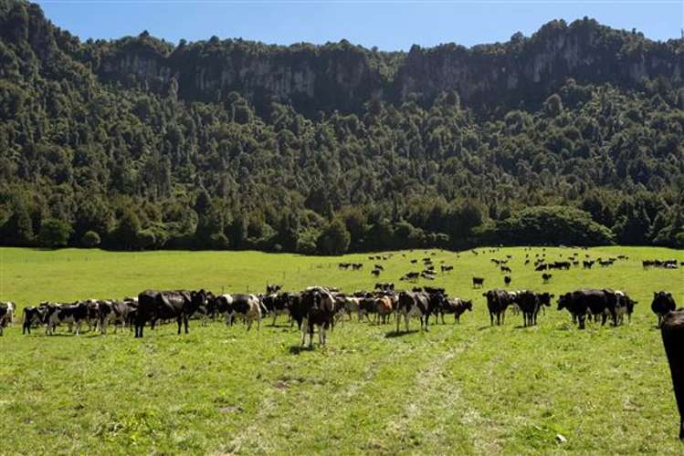 Apirana Road Horohoro_2