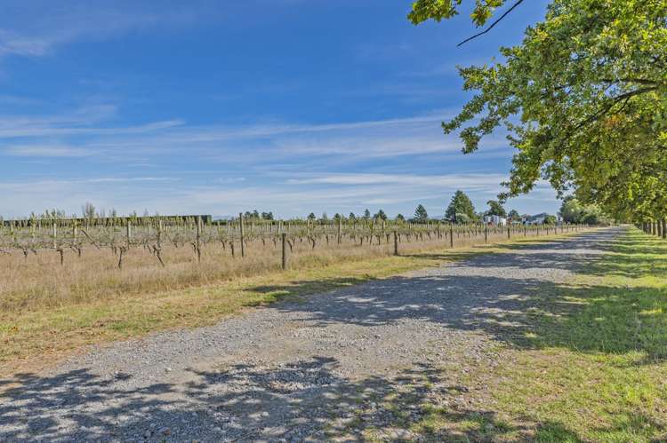 608 Burnham School Road Burnham_7