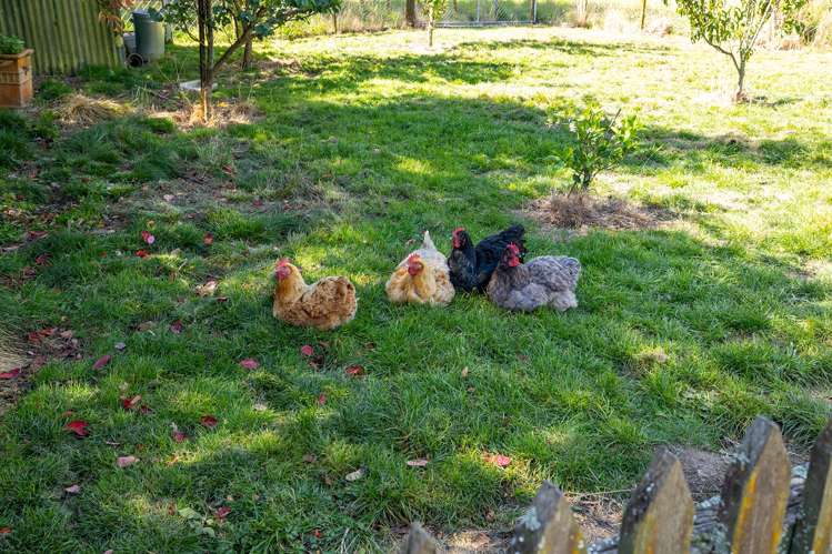 109 Nursery Road Homebush_24