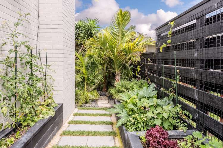 15 Red Bluff Rise Campbells Bay_20